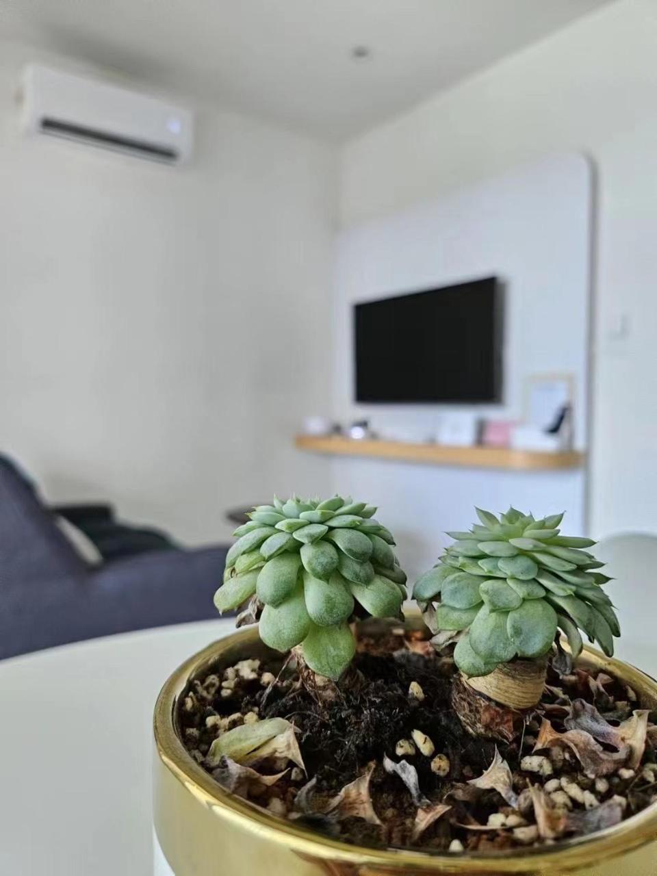 Cityview Studio Apartment At Kota Kinabalu City Centre Екстер'єр фото
